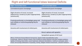 Presentation 3.pptx about frontal lobe a