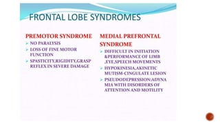 Presentation 3.pptx about frontal lobe a