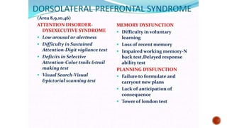 Presentation 3.pptx about frontal lobe a