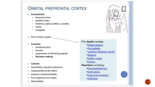Presentation 3.pptx about frontal lobe a