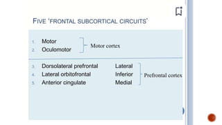 Presentation 3.pptx about frontal lobe a
