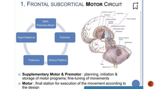 Presentation 3.pptx about frontal lobe a