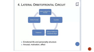 Presentation 3.pptx about frontal lobe a