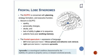 Presentation 3.pptx about frontal lobe a