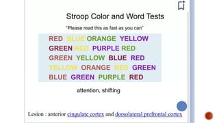 Presentation 3.pptx about frontal lobe a