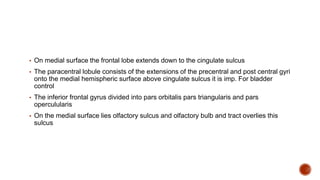 ▪ On medial surface the frontal lobe extends down to the cingulate sulcus
▪ The paracentral lobule consists of the extensions of the precentral and post central gyri
onto the medial hemispheric surface above cingulate sulcus it is imp. For bladder
control
▪ The inferior frontal gyrus divided into pars orbitalis pars triangularis and pars
operculularis
▪ On the medial surface lies olfactory sulcus and olfactory bulb and tract overlies this
sulcus