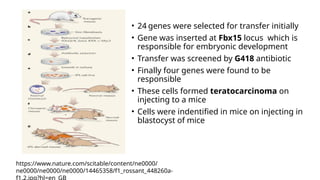 Stem cells in regenerative medicine ,Mechanism and signalling pathways ...