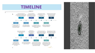 Stem cells in regenerative medicine ,Mechanism and signalling pathways ...