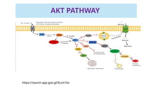 Stem cells in regenerative medicine ,Mechanism and signalling pathways ...