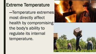 Extreme Temperature
—Temperature extremes
most directly affect
health by compromising
the body's ability to
regulate its internal
temperature.
 