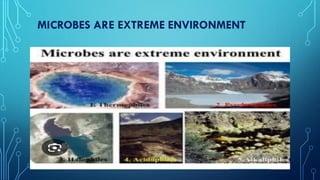 Extree Environment Microorganisms inhibiting extreme environment | PDF