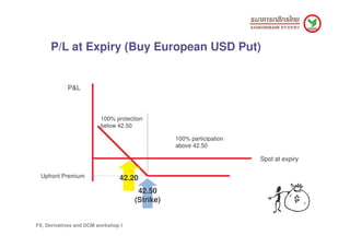 P/L at Expiry (Buy European USD Put)


            P&L



                         100% protection
                       ...
