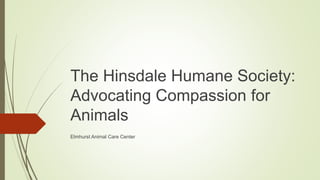 The Hinsdale Humane Society:
Advocating Compassion for
Animals
Elmhurst Animal Care Center
 