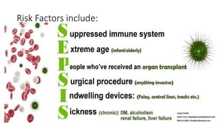 Known case of type 2 Diabetes Mellitus with hypertension with urosepsis ...