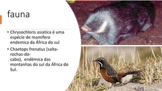 fauna
• Chrysochloris asiatica é uma
espécie de mamífero
endemica da África do sul
• Chaetops frenatus (salta-
rochas-do-
cabo), endémica das
montanhas do sul da África do
Sul.
 