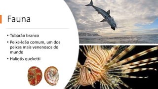Fauna
• Tubarão branco
• Peixe-leão comum, um dos
peixes mais venenosos do
mundo
• Haliotis queketti
 