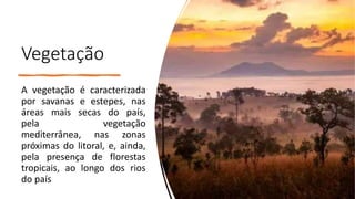 Vegetação
A vegetação é caracterizada
por savanas e estepes, nas
áreas mais secas do país,
pela vegetação
mediterrânea, nas zonas
próximas do litoral, e, ainda,
pela presença de florestas
tropicais, ao longo dos rios
do país
 