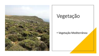Vegetação
• Vegetação Mediterrânea
 
