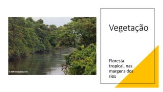 Vegetação
Floresta
tropical, nas
margens dos
rios
 