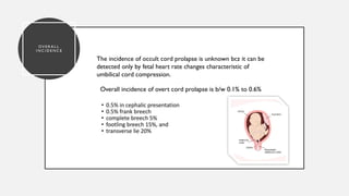 OV E R A L L
I N C I D E N C E
The incidence of occult cord prolapse is unknown bcz it can be
detected only by fetal heart rate changes characteristic of
umbilical cord compression.
Overall incidence of overt cord prolapse is b/w 0.1% to 0.6%
 