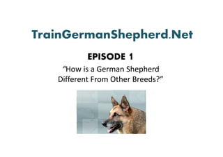 TrainGermanShepherd.Net
           EPISODE 1
    “How is a German Shepherd 
   Different From Other Breeds?
   Different From Other Breeds?”
 