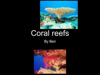 Coral reefs
By Ben
 