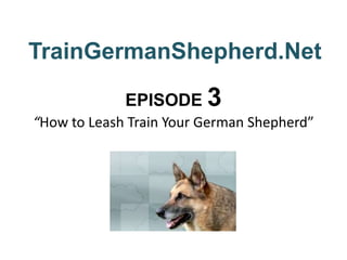 TrainGermanShepherd.Net EPISODE 3“How to Leash Train Your German Shepherd” 