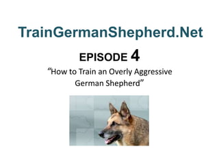 TrainGermanShepherd.Net EPISODE 4“How to Train an Overly Aggressive German Shepherd” 