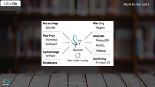 65José Manuel Román para FiberCli
 