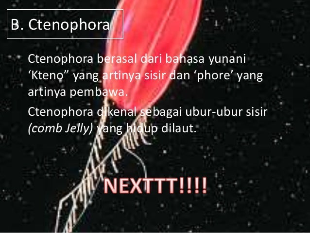 Cnidaria Dan Ctenophora (Ciri-ciri, struktur tubuh 