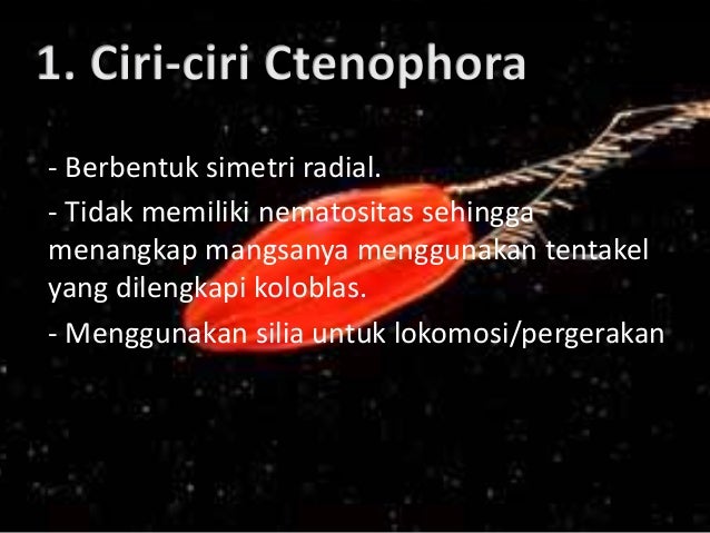 Cnidaria Dan Ctenophora (Ciri-ciri, struktur tubuh 
