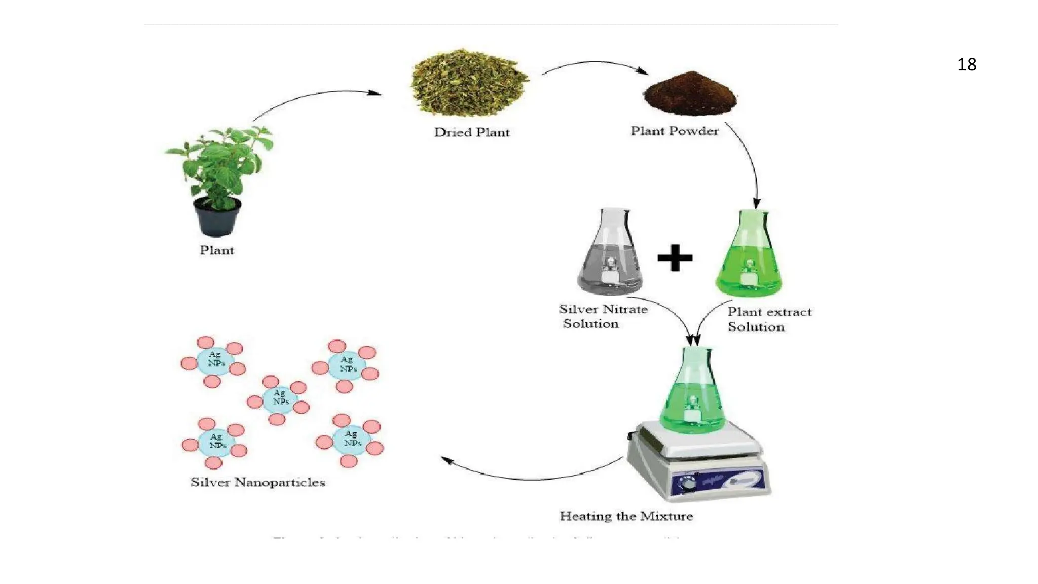 green synthesis of nanoparticles from plants.pptx