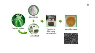 green synthesis of nanoparticles from plants.pptx