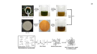 green synthesis of nanoparticles from plants.pptx