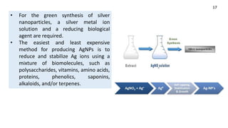 green synthesis of nanoparticles from plants.pptx