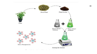 green synthesis of nanoparticles from plants.pptx
