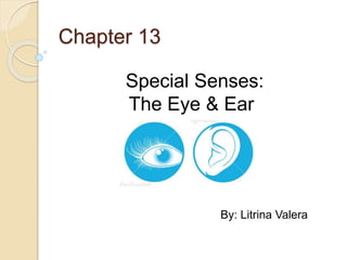 Chapter 13
Special Senses:
The Eye & Ear
By: Litrina Valera
 