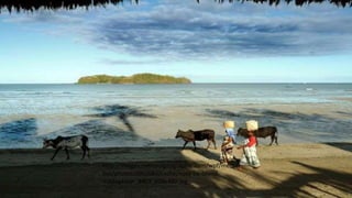 http://images.nationalgeographic.com/wpf/media-
live/photos/000/084/cache/nosy-be-island-
madagascar_8403_600x450.jpg
 
