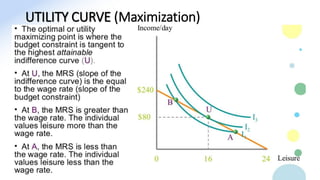 UTILITY CURVE (Maximization)
 