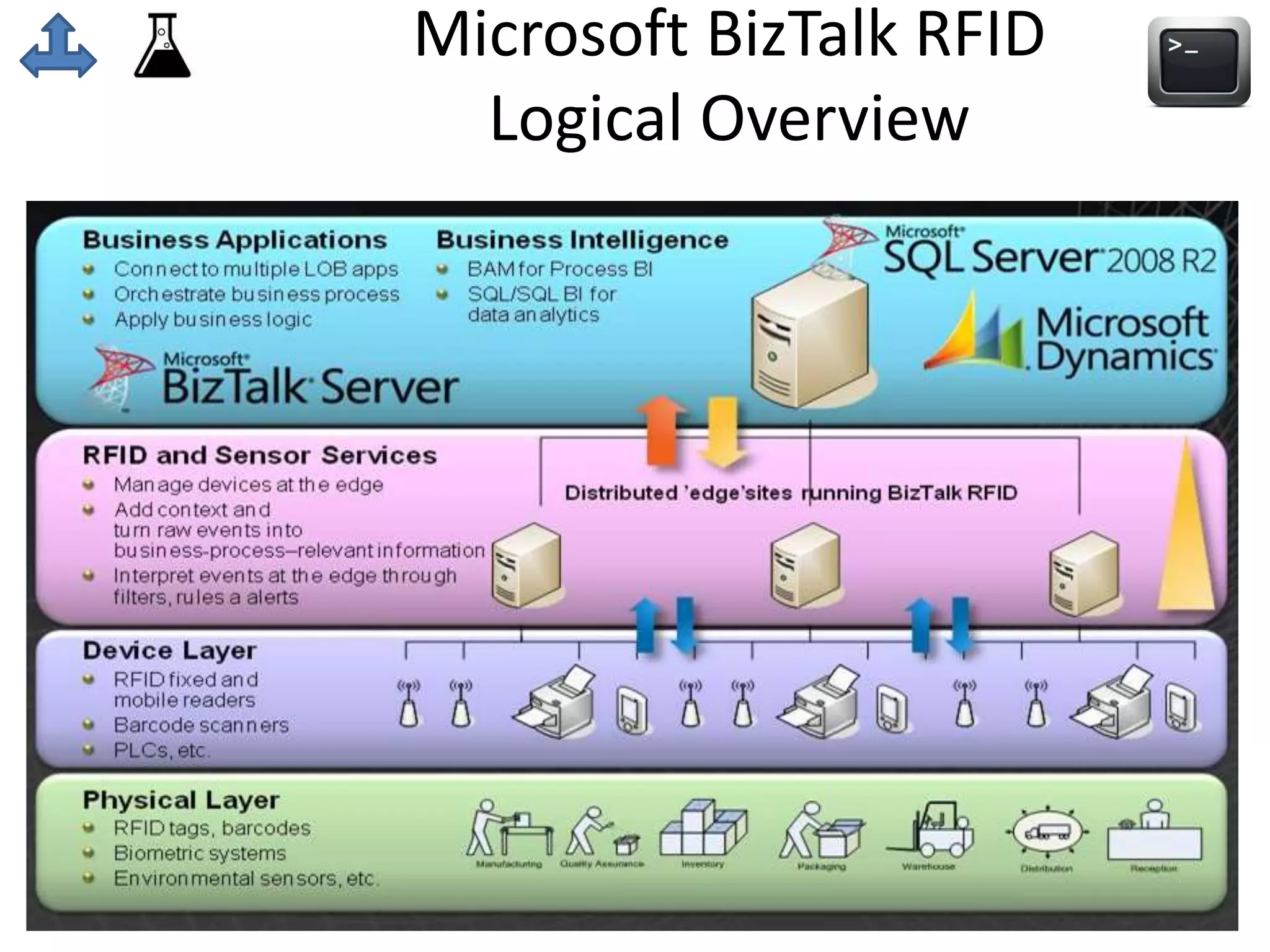 Microsoft BizTalk RFID 
Logical Overview 
 