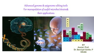 BY
Assist. Prof.
Dr. Berciyal Golda. P
VICAS
Advanced genome & epigenome editing tools
For manupulation of useful microbes/strains&
their applications
 