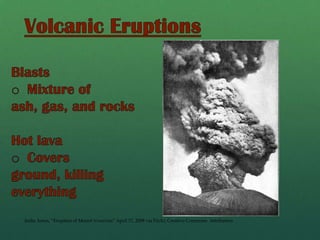 Biological WeatheringRoots of trees and other plants