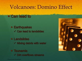 Lichens, fungi, and other micro-organisms