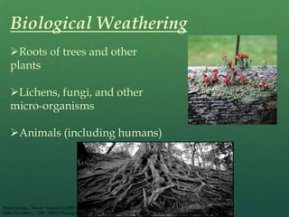 TsunamisWeatheringPhysical or mechanical weatheringFrost WedgingWater expands when it freezesThermal expansionRocks break due to temperature changesExfoliation or unloading Rocks break into sheets form expansion of rockGlenn Scofield Williams, “The Art of Exfoliation” July 7, 2007 via Flickr, Creative Commons  AttributionSamantha McGregor, “Weathering” October 5, 2009Samantha McGregor, “weathered roads” October 5, 2009