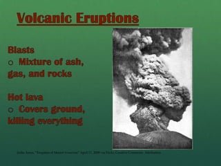 Biological WeatheringRoots of trees and other plants
