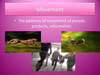 MovementThe patterns of movement of people, products, information.