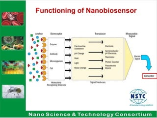 Functioning of Nanobiosensor
Detector
 