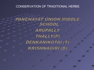 CONSERVATION OF TRADITIONAL HERBS 