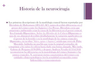 +
                     Historia de la neurocirugia

    n    Las primeras descripciones de la morfología craneal fueron reportadas por
          Heródoto de Halicarnaso (484-425 AC), quien describió diferencias en el
             grosor del cráneo entre los Egipcios y los Persas. Herodoto creía que
          situaciones ambientales eran la causa de la diferencia en el grosor craneal.
           En el tratado Hipocrático, Sobre las Heridas de la Cabeza (Hipocrates o
           uno de sus alumnos) describió detalladamente la variación significativa en
               el grosor de la bovéda y en la morfología de las suturas craneales.
           Hipocrates, en su obra "Aires, aguas y lugares", señala que cerca de Palus
               Mocotide, habitaba un pueblo que tenía la original costumbre de
          comprimir a los niños la cabeza hasta darle una forma alargada. Más tarde,
            Galeno de Pergamo (130-200), y después Andreas Vesalio (1514-1564)
            reconocieron las diferencias en la morofología del cráneo humano y las
              suturas craneales. Y, asociaron ciertas características del cráneo con
               entidades clínico-patológicas (en la actualidad reconocidas como
                                 hidrocefalia o craneosinostosis.
 
