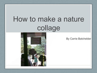 How to make a nature
       collage
              By Carrie Batchelder
 